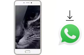 How to install WhatsApp in a Hotwav Cosmos V21