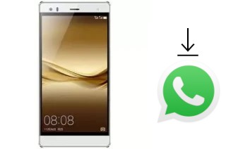 How to install WhatsApp in a Hotwav Cosmos V5