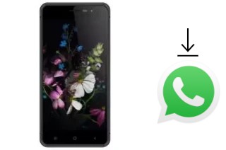 How to install WhatsApp in a Hotwav Cosmos V811