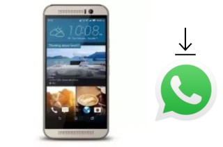 How to install WhatsApp in a Hotwav Fone M9