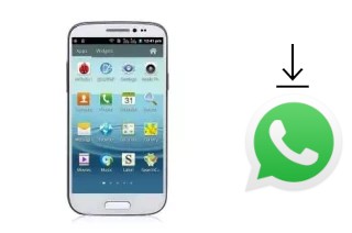 How to install WhatsApp in a HTM GT-T9500