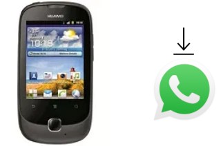 How to install WhatsApp in a Huawei Ascend Y100