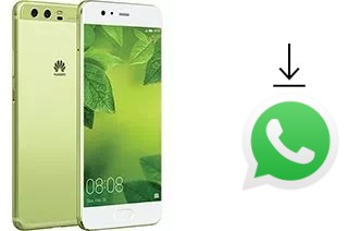 How to install WhatsApp in a Huawei P10 Plus