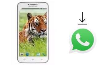 How to install WhatsApp in a Hyundai Tiger V2