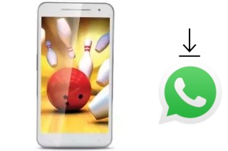 How to install WhatsApp in an iBall Cuddle A4