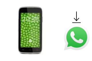 How to install WhatsApp in an iBold IBSD40