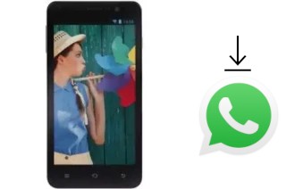 How to install WhatsApp in an iBold XL5