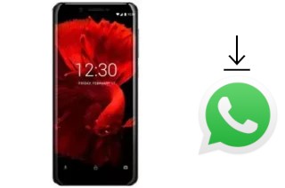 How to install WhatsApp in an iHunt Like 3 Pro