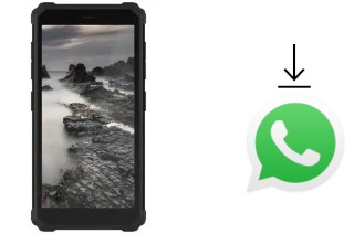 How to install WhatsApp in an IIIF150 H2022