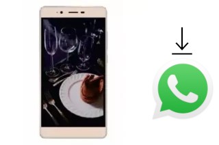 How to install WhatsApp in an Iku Zeus Z55I