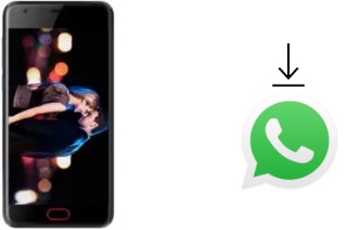 How to install WhatsApp in an iLA D1 Big eyes