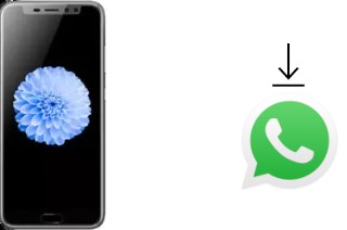 How to install WhatsApp in an iLA X