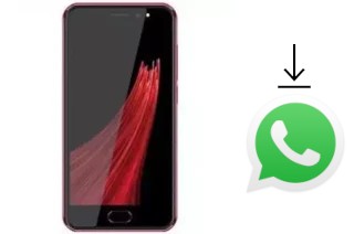 How to install WhatsApp in an Imi Vin 5