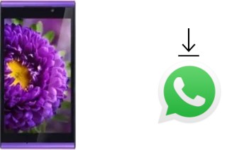 How to install WhatsApp in an InFocus M310 Charm Purple