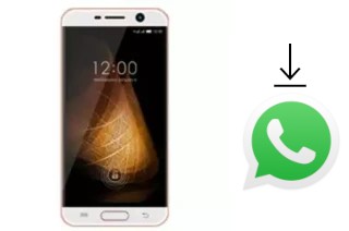 How to install WhatsApp in an Infone X-Cite Gorilla 8