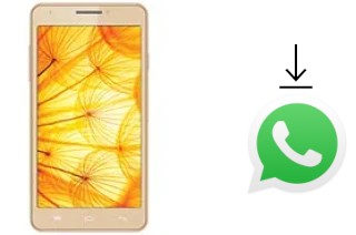 How to install WhatsApp in an Intex Aqua Xtreme II