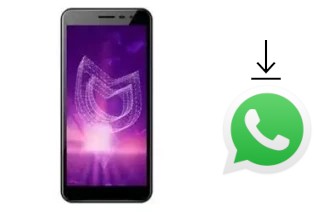 How to install WhatsApp in an Irbis SP493