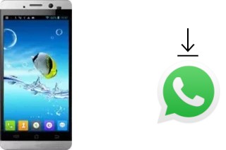 How to install WhatsApp in a JiaYu G3S