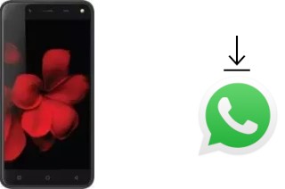 How to install WhatsApp in a Karbonn Titanium Frames S7