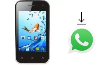 How to install WhatsApp in a Kata B1S