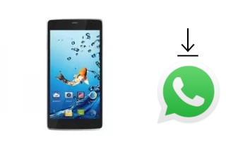 How to install WhatsApp in a Kata C1