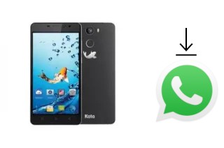 How to install WhatsApp in a Kata C3