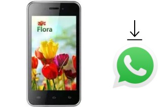 How to install WhatsApp in a KENEKSI Flora