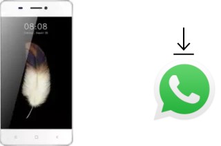 How to install WhatsApp in a Kenxinda V5