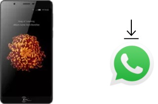 How to install WhatsApp in a Kenxinda V9