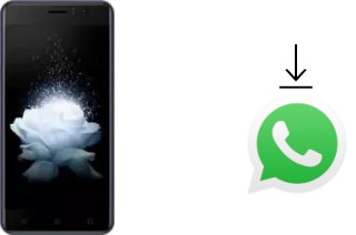 How to install WhatsApp in a Kenxinda W50