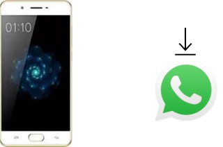 How to install WhatsApp in a Kenxinda X6