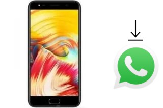 How to install WhatsApp in a KingZone P3