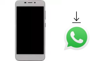 How to install WhatsApp in a Konka R9