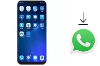 How to install WhatsApp in a Koobee F2 Plus