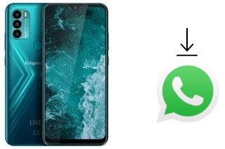 How to install WhatsApp in a Kruger-Matz LIVE 9