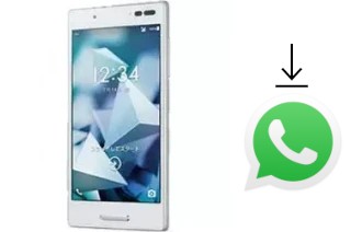 How to install WhatsApp in a Kyocera Digno V