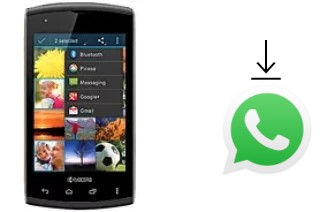 How to install WhatsApp in a Kyocera Rise C5155