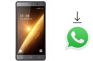 How to install WhatsApp in a L-Max Ester 4