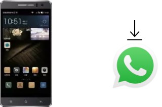 How to install WhatsApp in a Landvo L600