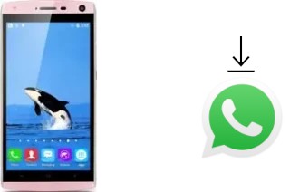 How to install WhatsApp in a Landvo V11