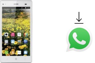 How to install WhatsApp in a Landvo V6