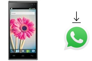 How to install WhatsApp in a Lava Iris 504q+