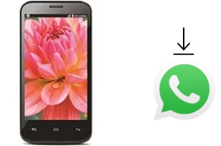 How to install WhatsApp in a Lava Iris 505