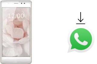 How to install WhatsApp in a Leagoo T1