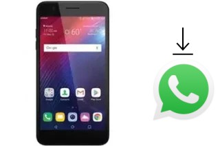 How to install WhatsApp in a LG Harmony 2