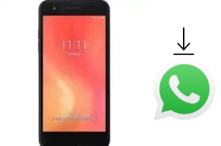 How to install WhatsApp in a LG it V36