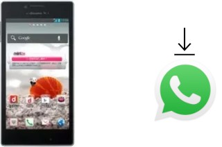 How to install WhatsApp in a LG Optimus G