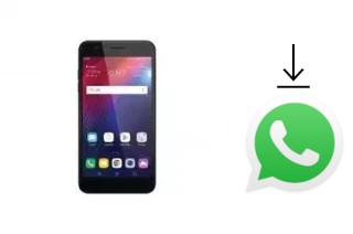 How to install WhatsApp in a LG Xpression Plus