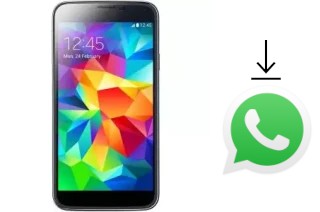 How to install WhatsApp in a Lvtel LvTel V11