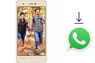 How to install WhatsApp in a Manta MSP95013